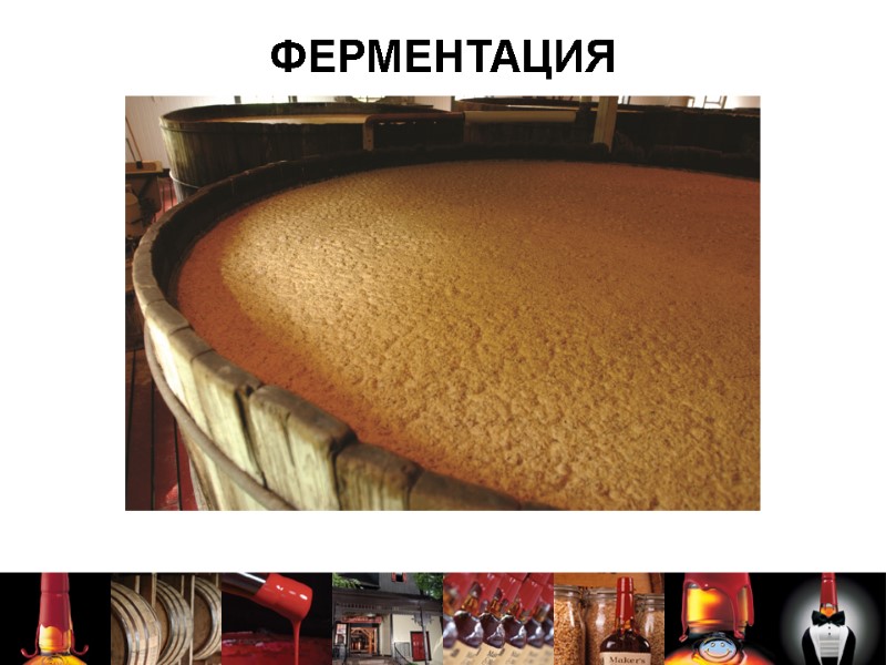 ФЕРМЕНТАЦИЯ